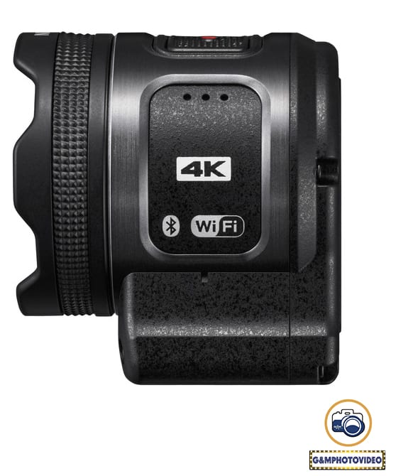 Bugs 4 W Bugs Series Mjx Dream Of The Future